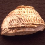 Mitza Purdia - Decimoputzu. Frammento eburneo di testa di guerriero, con elmo e zanne di cinghiale (Mic. IIIa IIIb: 1425-1200 a.C.).