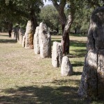 Sito di Pranu Mutteddu Goni (CA)